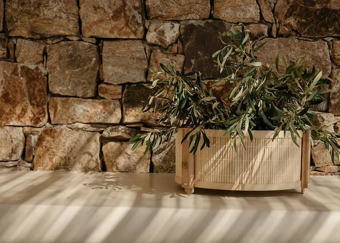 Kerameas Naxos ヴィラ *