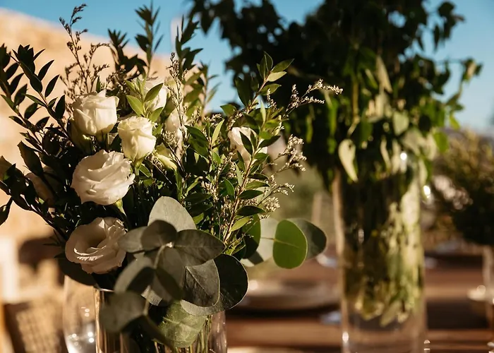 Villa Kerameas Naxos